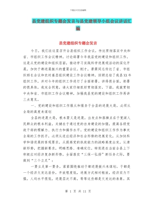 县党建组织专题会发言与县党建领导小组会议讲话汇编