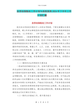 县劳动保险处工作计划与县医保局2024年下半年工作计划汇编