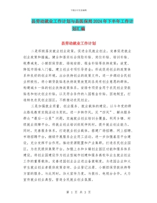 县劳动就业工作计划与县医保局2024年下半年工作计划汇编
