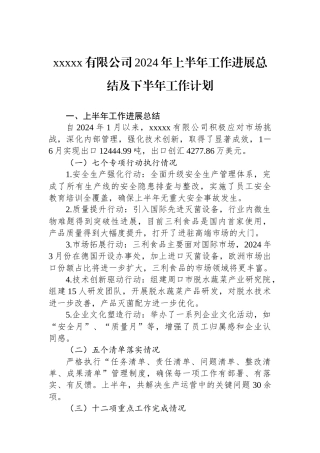 xxxxx有限公司2024年上半年工作进展总结及下半年工作计划