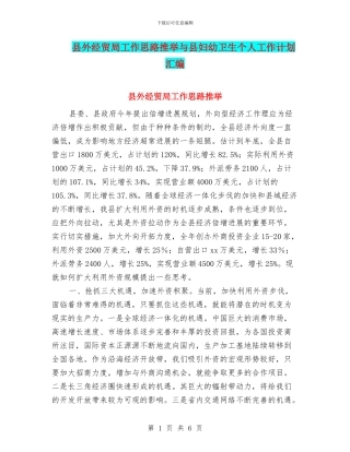 县外经贸局工作思路推荐与县妇幼卫生个人工作计划汇编