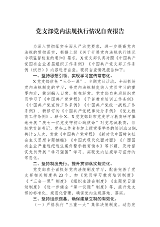 党支部党内法规执行情况自查报告