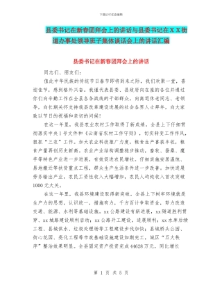 县委书记在新春团拜会上的讲话与县委书记在XX街道办事处领导班子集体谈话会上的讲话汇编