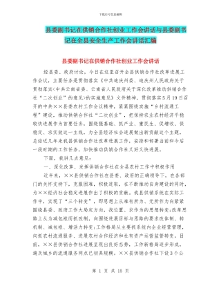 县委副书记在供销合作社创业工作会讲话与县委副书记在全县安全生产工作会讲话汇编