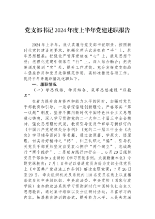 党支部书记2024年度上半年党建述职报告