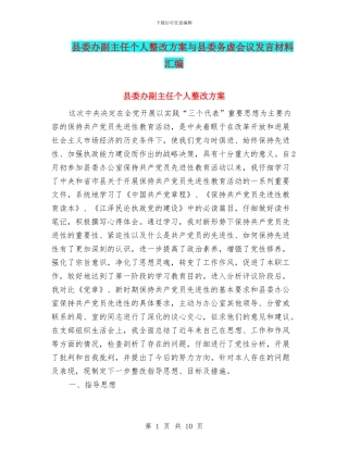 县委办副主任个人整改方案与县委务虚会议发言材料汇编