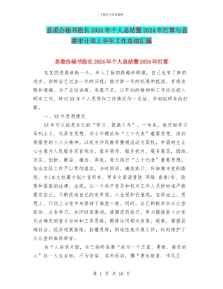 县委办秘书股长2024年个人总结暨2024年打算与县委审计局上半年工作总结汇编