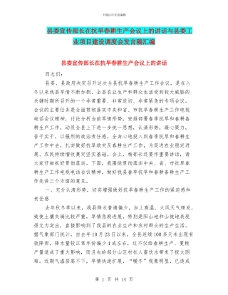 县委宣传部长在抗旱春耕生产会议上的讲话与县委工业项目建设调度会发言稿汇编