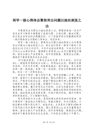 两学一做心得体会聚焦突出问题以抽丝剥茧之功