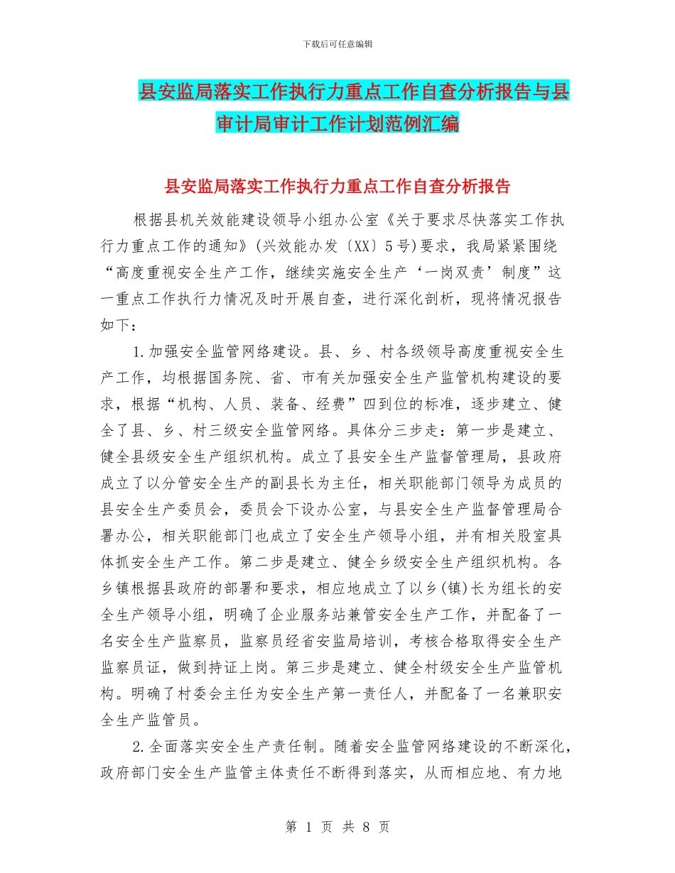 县安监局落实工作执行力重点工作自查分析报告与县审计局审计工作计划范例汇编_第1页