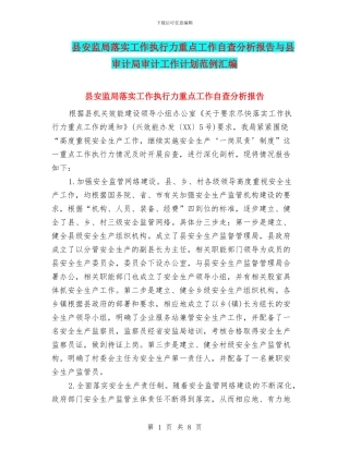 县安监局落实工作执行力重点工作自查分析报告与县审计局审计工作计划范例汇编