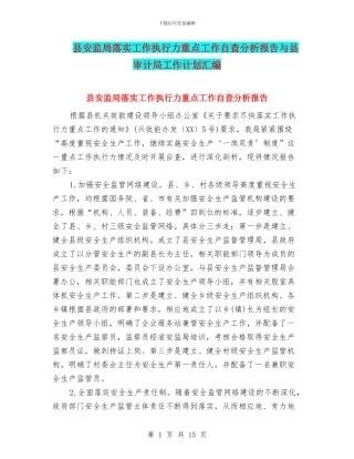 县安监局落实工作执行力重点工作自查分析报告与县审计局工作计划汇编