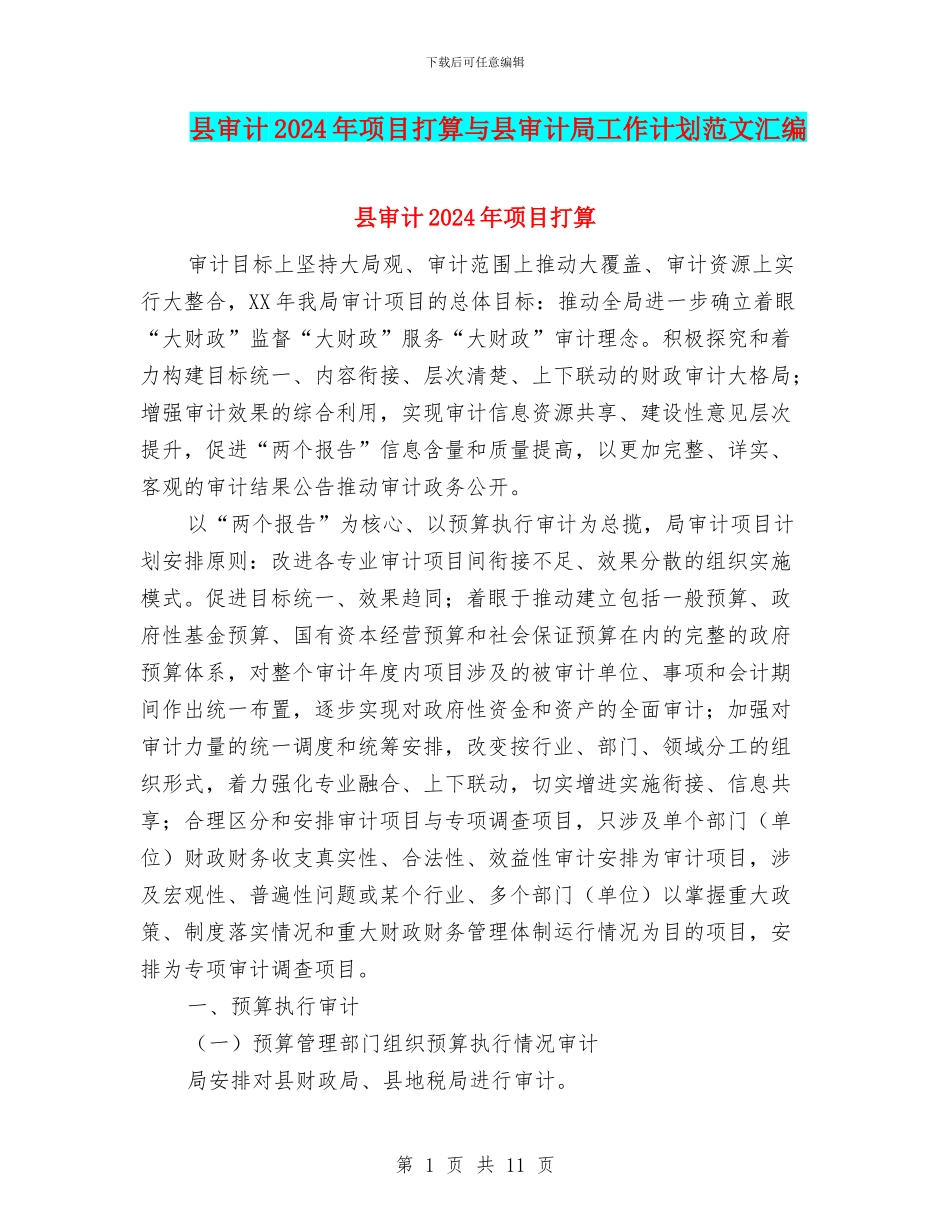 县审计2024年项目打算与县审计局工作计划范文汇编_第1页