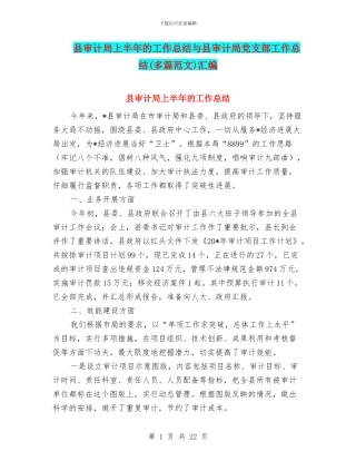 县审计局上半年的工作总结与县审计局党支部工作总结汇编