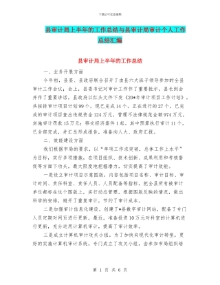 县审计局上半年的工作总结与县审计局审计个人工作总结汇编