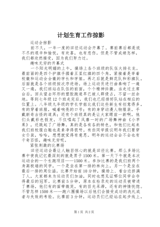 计划生育工作掠影 