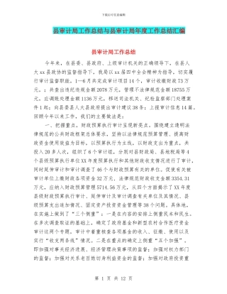 县审计局工作总结与县审计局年度工作总结汇编