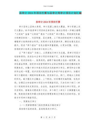 县审计2024年项目打算与县审计局审计项目计划汇编