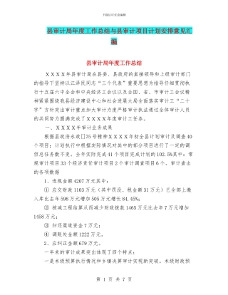 县审计局年度工作总结与县审计项目计划安排意见汇编