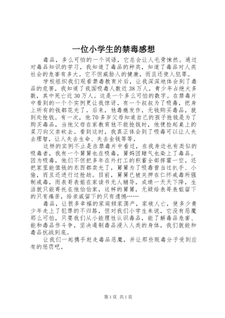 一位小学生的禁毒感想