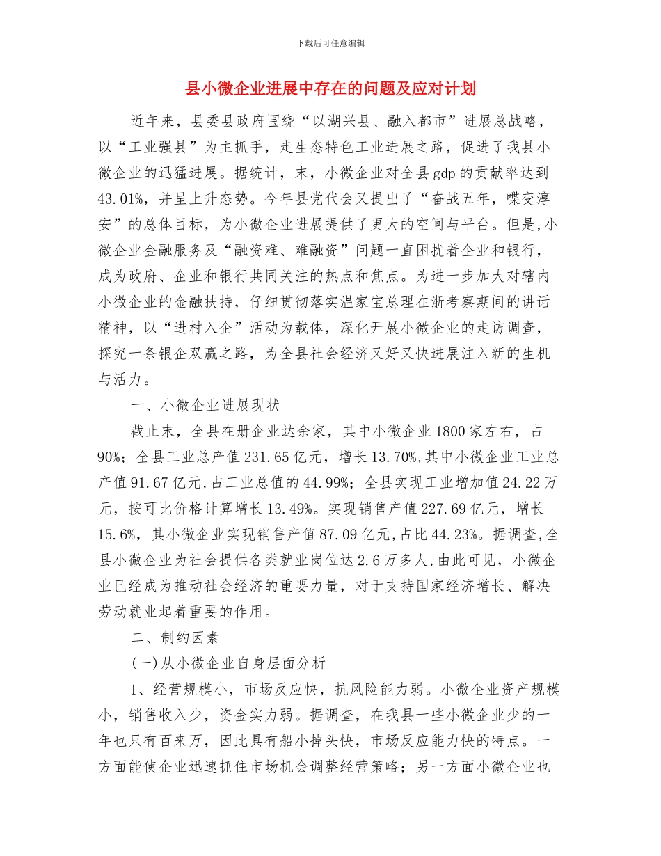 县审计项目工作计划意见与县小微企业发展中存在的问题及应对计划汇编_第3页