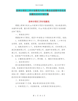 县审计项目工作计划意见与县小微企业发展中存在的问题及应对计划汇编