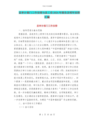 县审计部门工作安排与县工信2024年报告及明年安排汇编