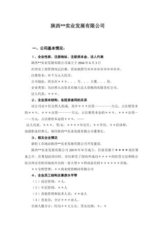 西安商城地产项目银行融资报告