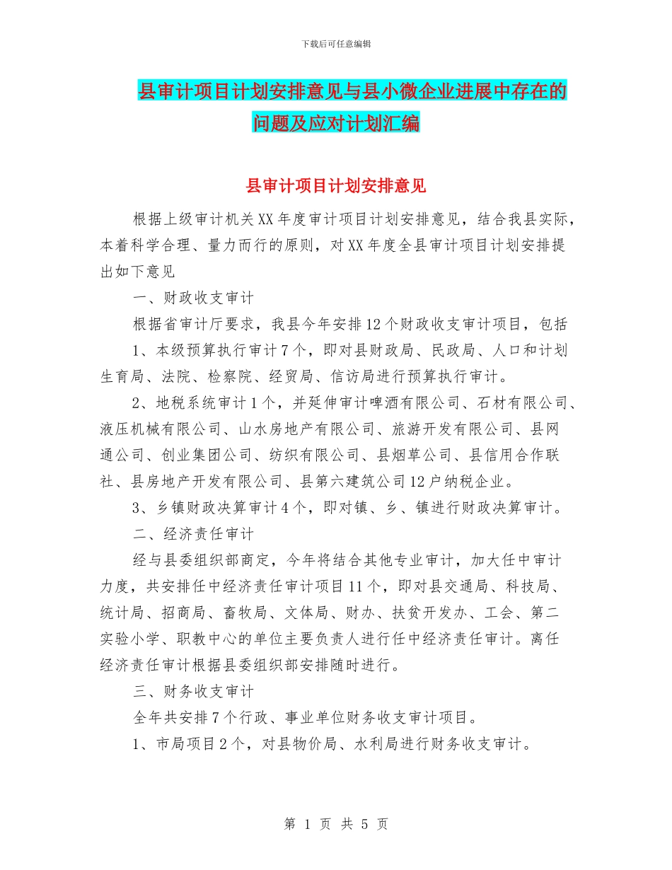 县审计项目计划安排意见与县小微企业发展中存在的问题及应对计划汇编_第1页