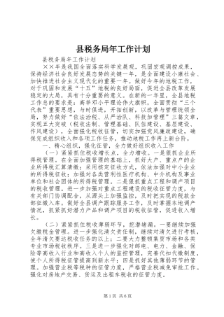 县税务局年工作计划 