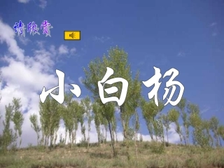 《白杨》PPT课件