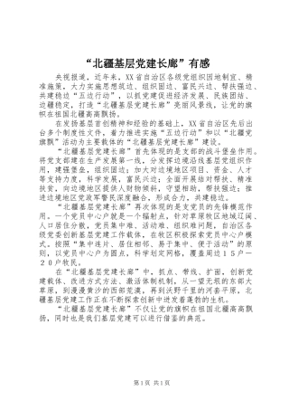 “北疆基层党建长廊”有感