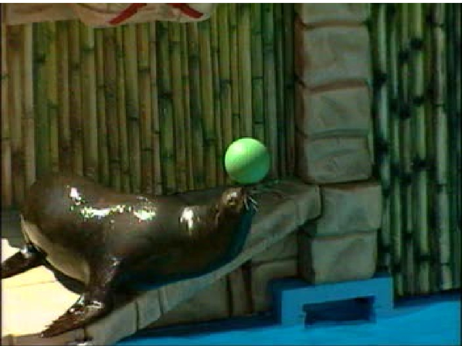 《“东方之珠”》4_第2页