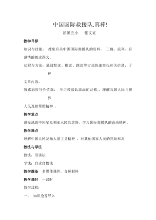 中国国际救援队,真棒！（张文宣）