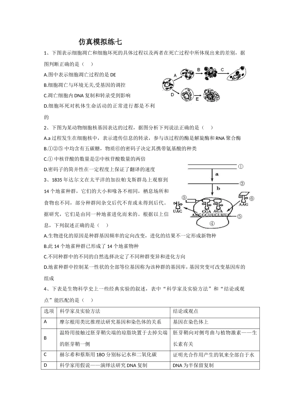 仿真模拟练七_第1页