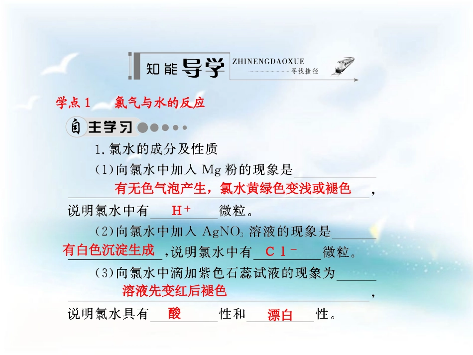 第四章非金属及其化合物第二节b富集在海学案2氯气与水、碱的反应_第3页
