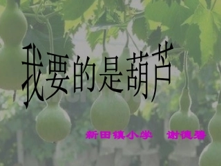 小学二年级语文上册《14、我要的是葫芦》课件
