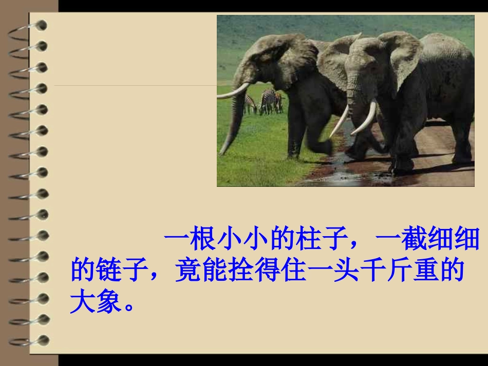 【】习惯养成主题班会33_第2页