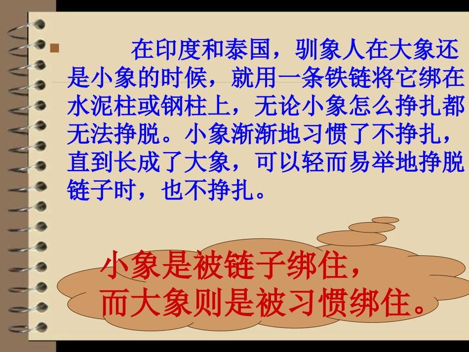 【】习惯养成主题班会33_第3页