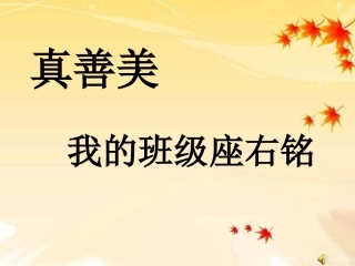 真善美我的班级座