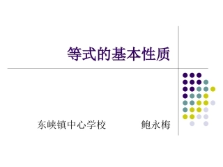 等式的基本性质PPT