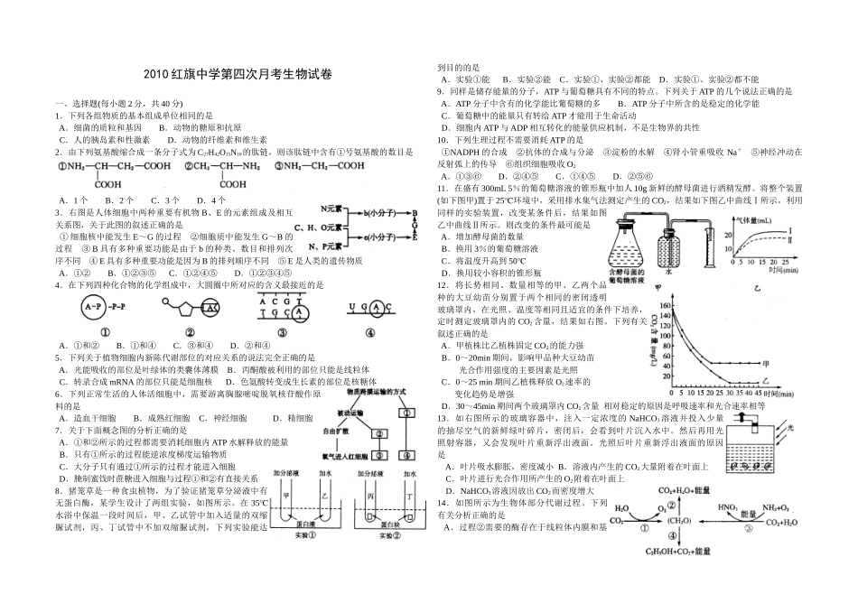 红旗中学第四次月考生物试卷_第1页