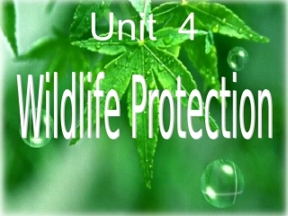新人教必修2Unit4_Wildlife_Protection