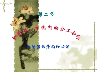 细胞器——细胞内的分工合作
