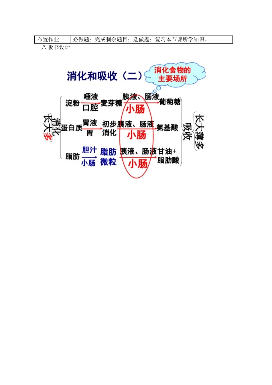 消化和吸收（二）教学设计_第3页