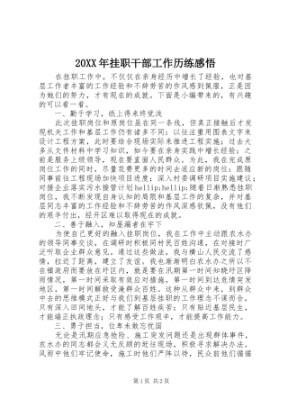 20XX年挂职干部工作历练感悟