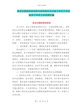 县志办综治活动总结与县性别比办公室上半年工作总结及下半年工作安排汇编