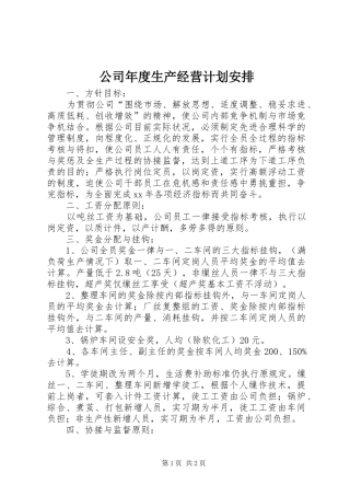 公司年度生产经营计划安排 