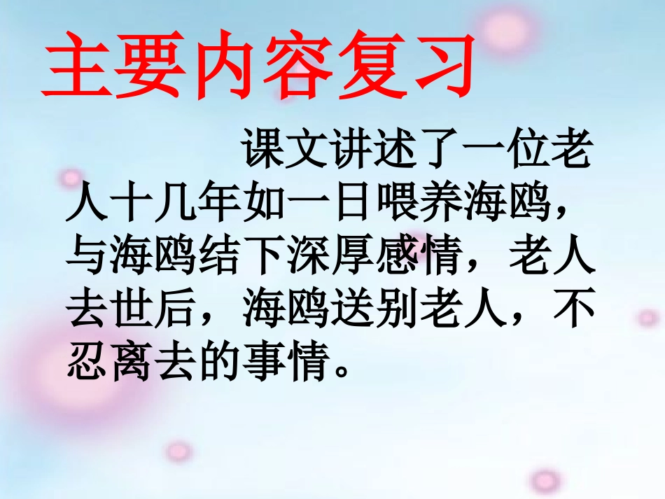 《老人与海鸥》课件_第3页