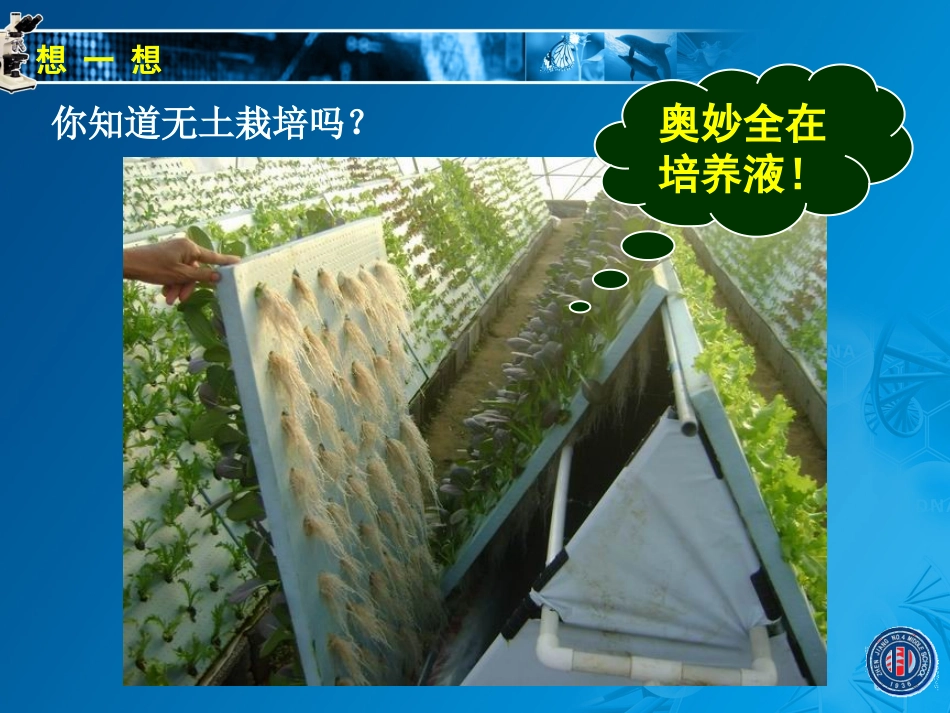 绿色植物的生长需要水和无机盐_第3页